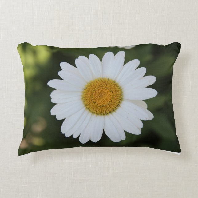 Hi-def-Fotografie eines Daisy Dekokissen (Vorderseite)