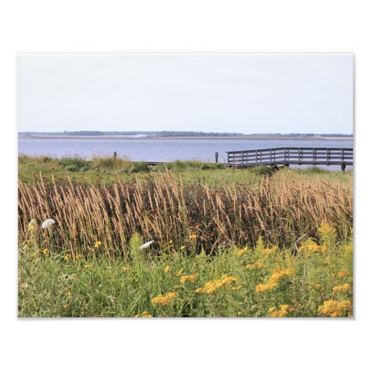 Hi-def-Fotografie, Ozean, Brücke, wilde Blume Fotodruck (Vorne)