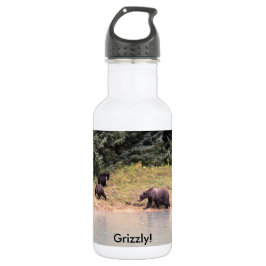 Hi def Fotografie von Mutter Grizzly und 2 Cubs Edelstahlflasche