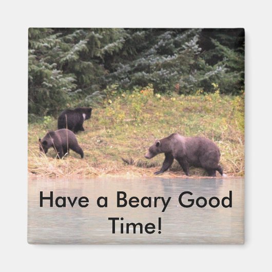 Hi def Fotografie von Mutter Grizzly und 2 Cubs Magnet (Vorne)
