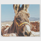 HI DONKEY GESCHENKPAPIER (Flach)