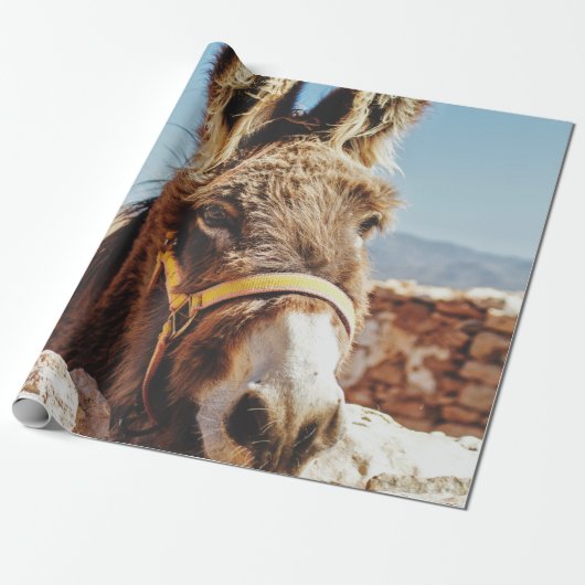 HI DONKEY GESCHENKPAPIER (Ungerollt)