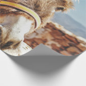 HI DONKEY GESCHENKPAPIER (Ecke)