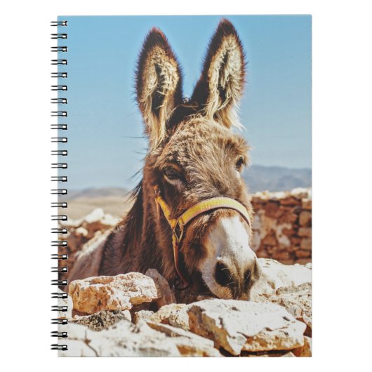 HI DONKEY NOTIZBLOCK (Vorderseite)