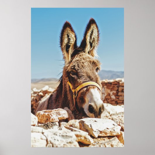 HI DONKEY POSTER (Vorne)
