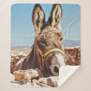 HI DONKEY SHERPADECKE