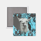 Hi-Fi-Lama. Magnet (Vorderseite/Rückseite)