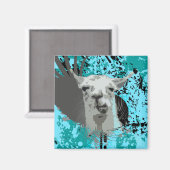 Hi-Fi-Lama. Magnet (Vorderseite/Rückseite)