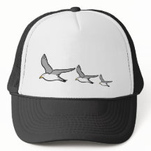 Hi Flying Birds