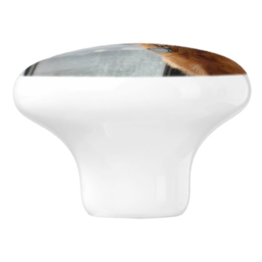 Hi Keramikknauf (Seitenansicht)