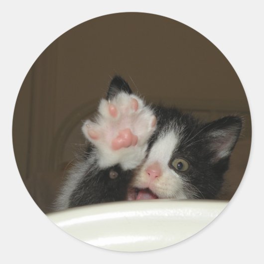 "Hi" Kitten Aufkleber (Vorderseite)