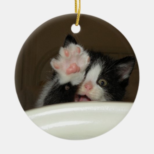 "Hi" Kitten Ornament (Vorne)