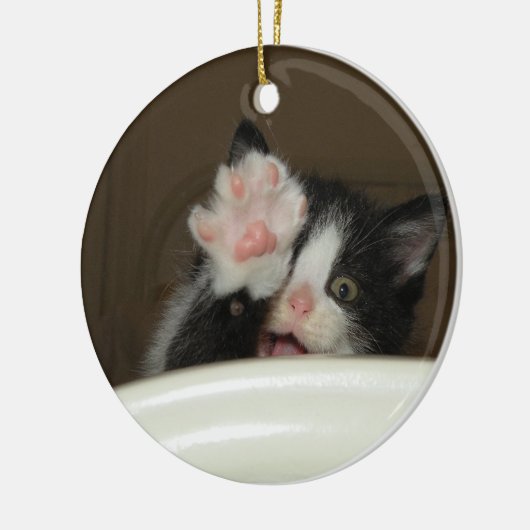 "Hi" Kitten Ornament (Links)