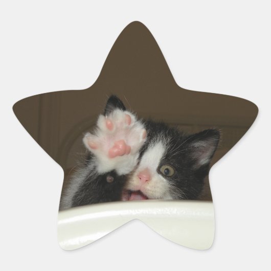 Hi-Kitten-Star-Aufkleber Stern-Aufkleber (Vorderseite)
