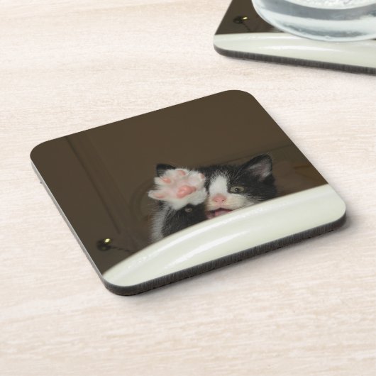 "Hi Kitten!" Untersetzer (Linke Seite)