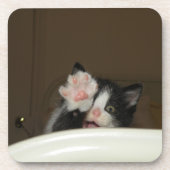 "Hi Kitten!" Untersetzer (Vorderseite)