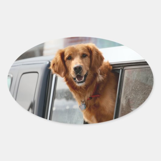 Hi Ovaler Aufkleber (Vorderseite)