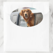 Hi Ovaler Aufkleber (Tasche)