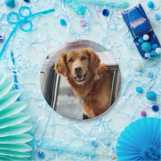 Hi Pappteller (Party)