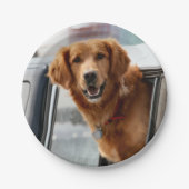 Hi Pappteller (Vorderseite)