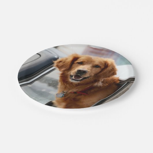 Hi Pappteller (Schrägansicht)