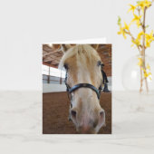 "Hi" Pferd Karte (Gelbe Blume)