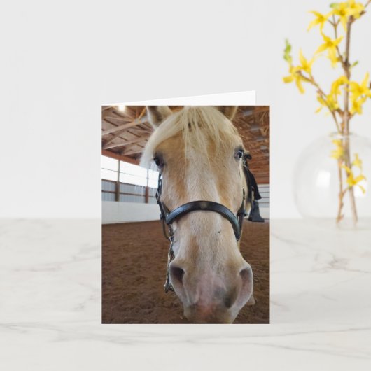 "Hi" Pferd Karte (Gelbe Blume)
