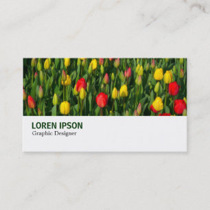 Hi-Phi - 003 - Tulpen Visitenkarte