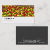 Hi-Phi - 0187 - See von Tulips Visitenkarte (Vorne/Hinten)