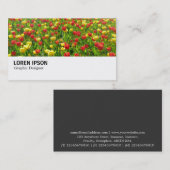 Hi-Phi - 0188 - Meer von Tulips II Visitenkarte (Vorne/Hinten)