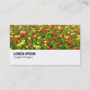 Hi-Phi - 0188 - Meer von Tulips II Visitenkarte