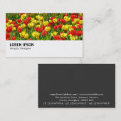 Hi-Phi - 0190 - Meer von Tulips III Visitenkarte (Vorne/Hinten)