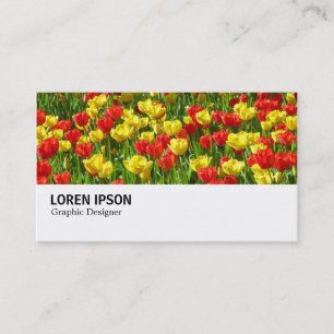 Hi-Phi - 0190 - Meer von Tulips III Visitenkarte