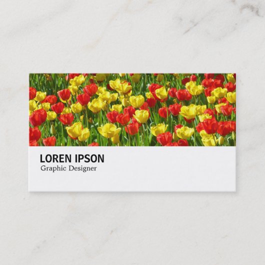 Hi-Phi - 0190 - Meer von Tulips III Visitenkarte (Vorderseite)