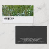 Hi-Phi - 0249 - Japanisches Ahorn Visitenkarte (Vorne/Hinten)