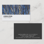 Hi-Phi - 0279 - Silberne Zweige Visitenkarte (Vorne/Hinten)