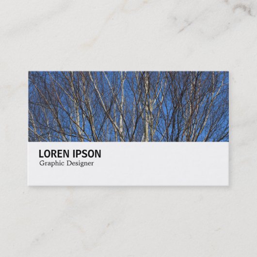 Hi-Phi - 0280 - Silberne Zweige Visitenkarte (Vorderseite)