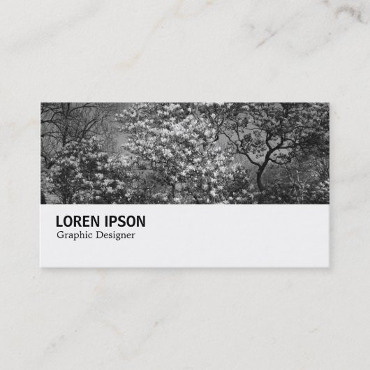 Hi-Phi - 0291 - Magnolia Tree in Blossom Visitenkarte (Vorderseite)