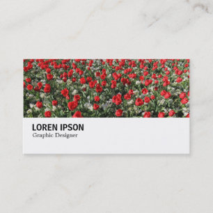 Hi-Phi - 0292 - Rote Tulips und Primrosen Visitenkarte