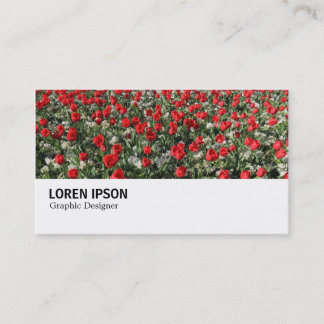 Hi-Phi - 0292 - Rote Tulips und Primrosen Visitenkarte