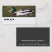 Hi-Phi - 0294 - Mallard Duck Visitenkarte (Vorne/Hinten)
