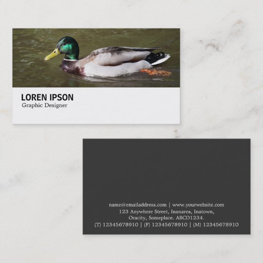 Hi-Phi - 0294 - Mallard Duck Visitenkarte (Vorne/Hinten)