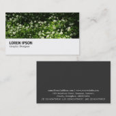 Hi-Phi - 0345 - Wilder Knoblauch Visitenkarte (Vorne/Hinten)