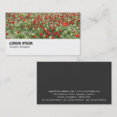 Hi-Phi - 0373 - Bett von Tulips Visitenkarte (Vorne/Hinten)