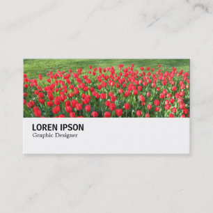 Hi-Phi - 0374 - Bett von Red Tulips 01 Visitenkarte