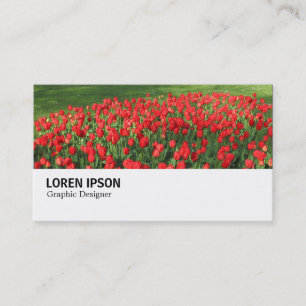 Hi-Phi - 0375 - Bett von Red Tulips 02 Visitenkarte