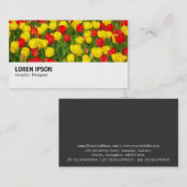Hi-Phi - 037 - Rote und Gelbe Tulips Visitenkarte (Vorne/Hinten)