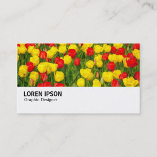 Hi-Phi - 037 - Rote und gelbe Tulpen Visitenkarte