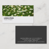 Hi-Phi - 0388 - Daisy Meadow Visitenkarte (Vorne/Hinten)