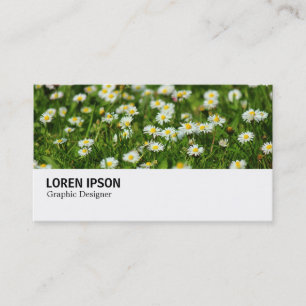 Hi-Phi - 0388 - Daisy Meadow Visitenkarte